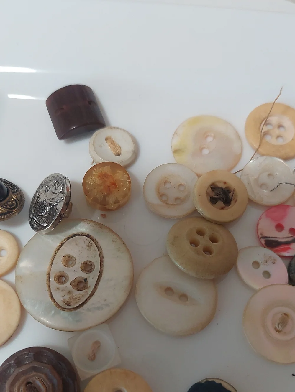 None buttons old